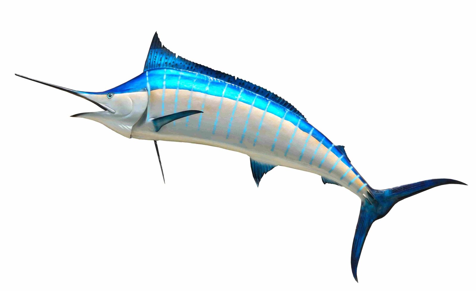 Blue Marlin