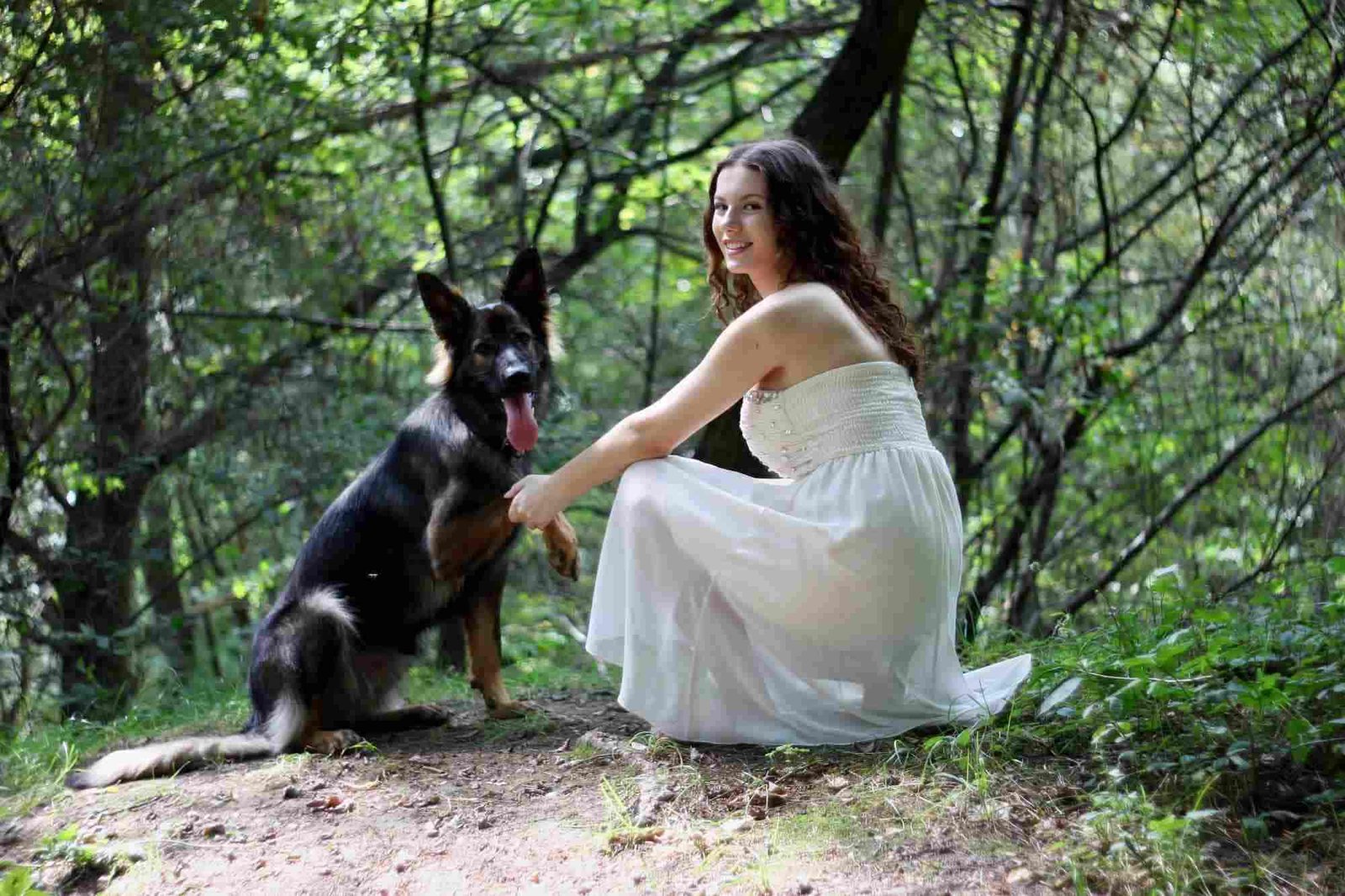 German Shepherd
