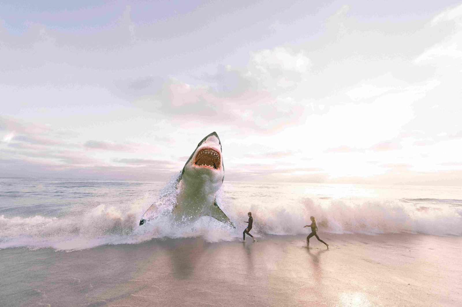 Great White Shark