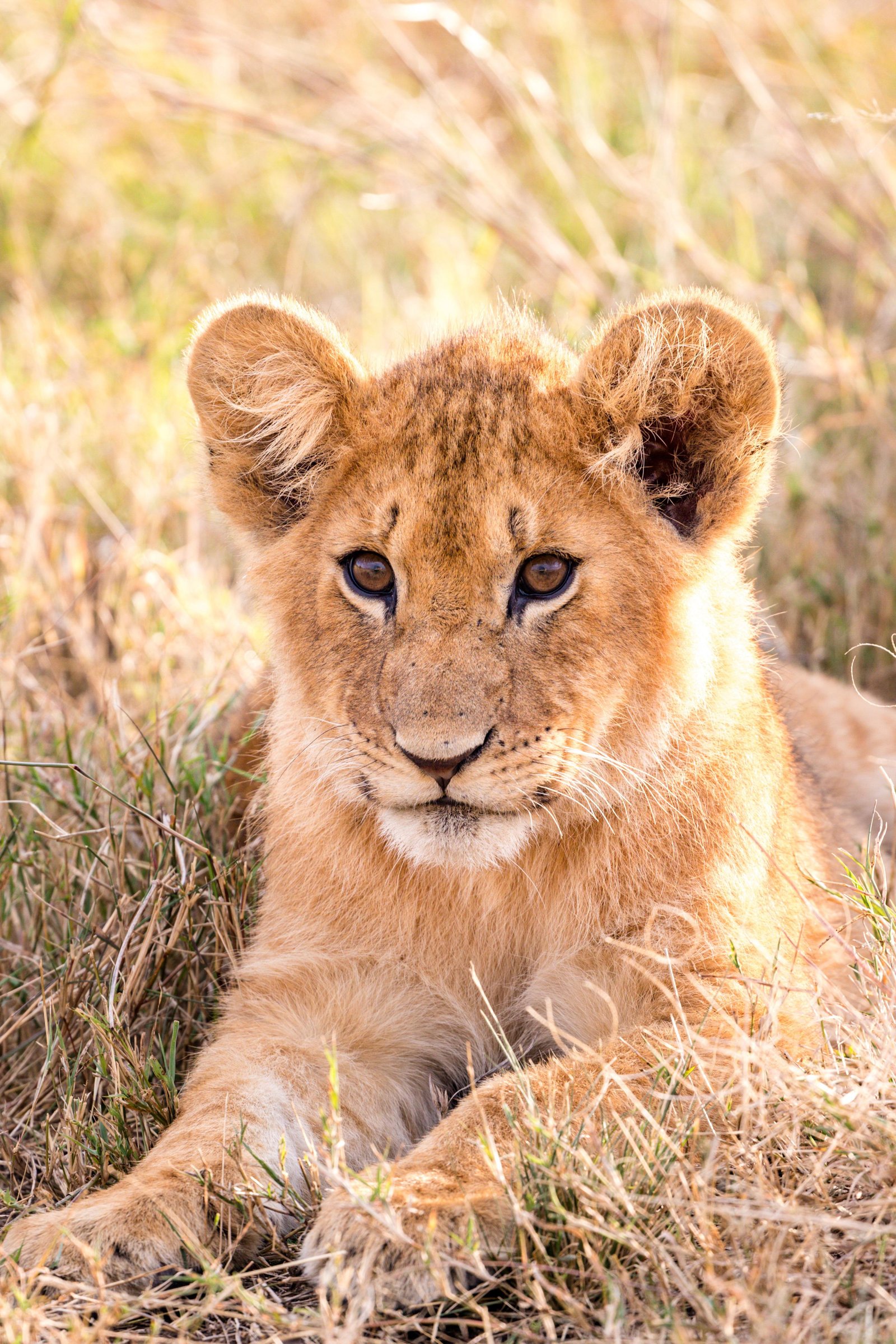 Profile Image | Pratik Patel